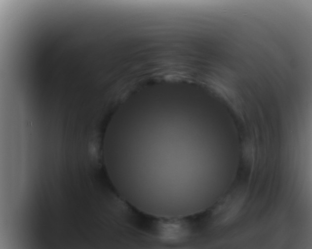 X0000089690181200706281422