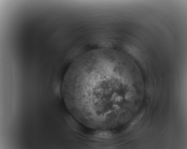 X0000089690185200706281422