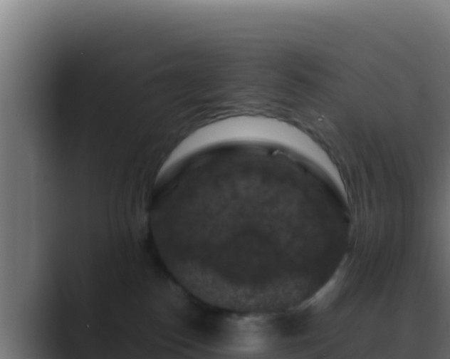 X0000089690186200706281422