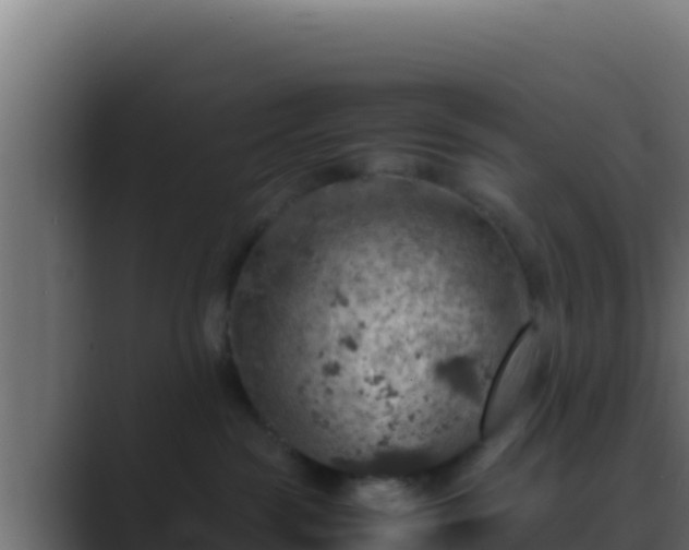 X0000089690189200706281422