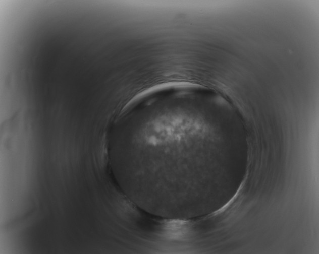 X0000089690192200706281422