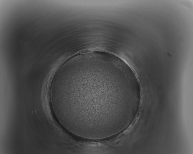 X0000089690193200706281422