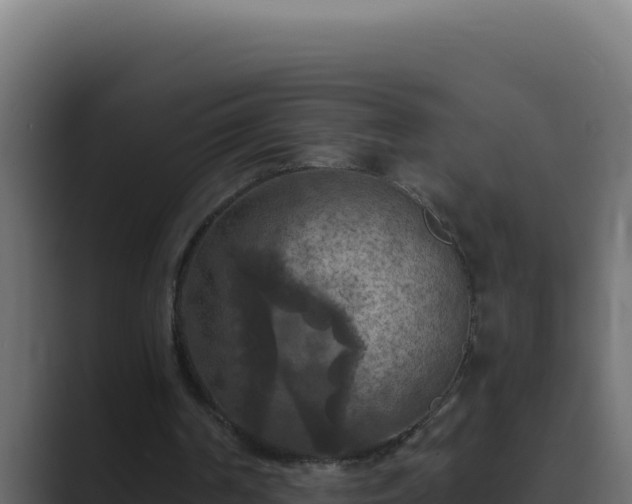 X0000089690194200706281422