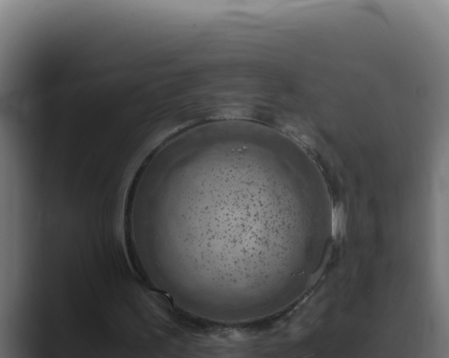 X0000089690195200706281422