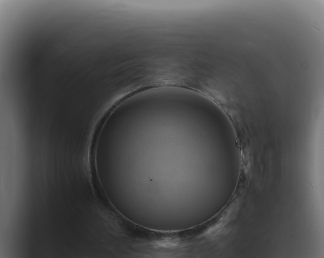 X0000089690196200706281422