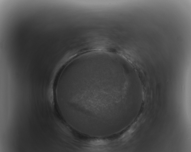 X0000089690198200706281422