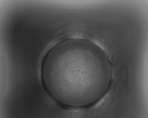 X0000089690199200706281422