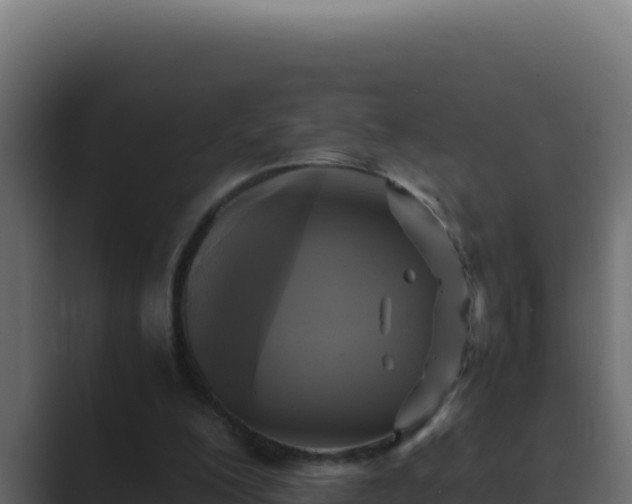 X0000089690200200706281422