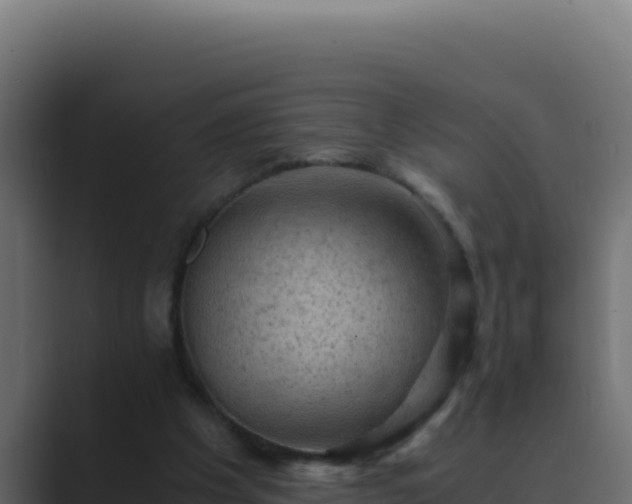 X0000089690201200706281422