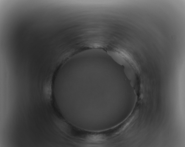 X0000089690202200706281421