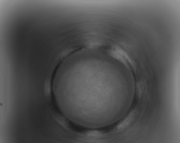 X0000089690203200706281421