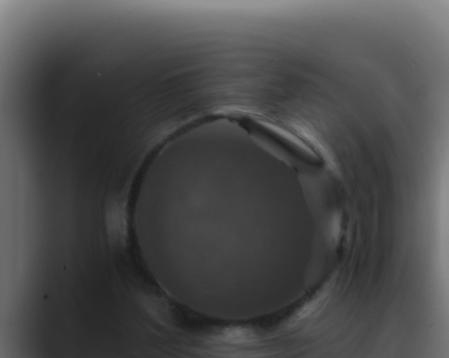 X0000089690204200706281421