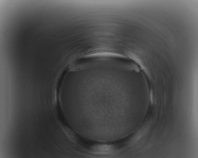 X0000089690205200706281421