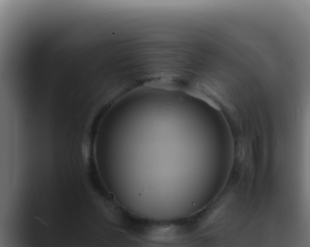 X0000089690206200706281421