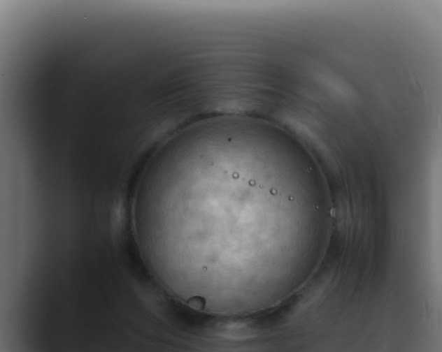 X0000089690208200706281421