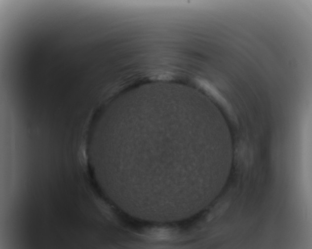 X0000089690209200706281421