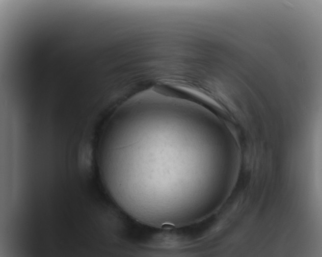 X0000089690211200706281421