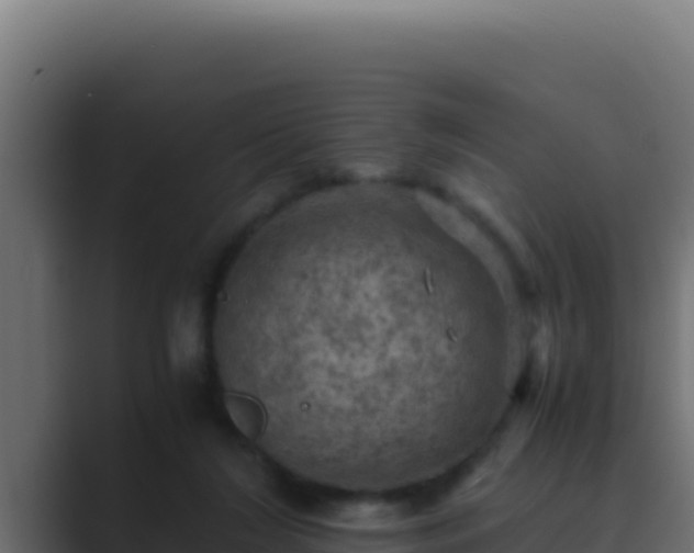 X0000089690212200706281421