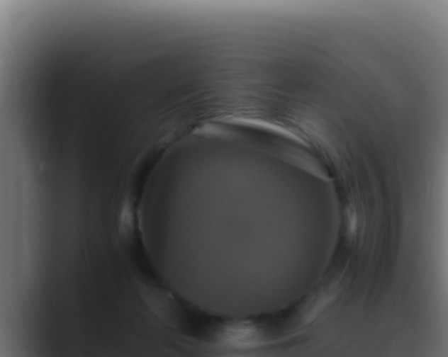 X0000089690214200706281421