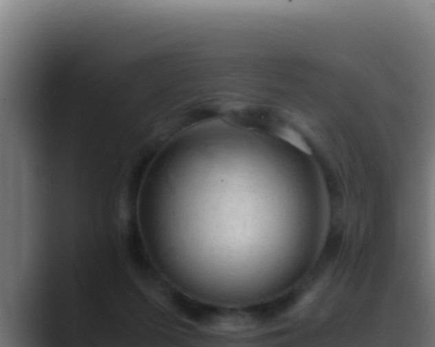 X0000089690215200706281421