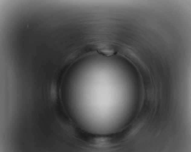 X0000089690216200706281421