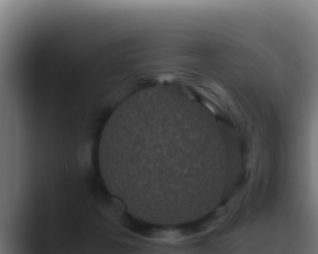 X0000089690217200706281421