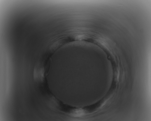 X0000089690219200706281421