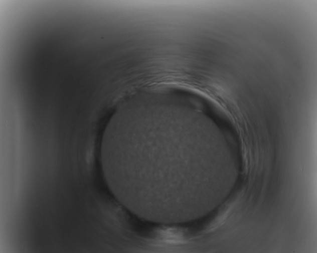 X0000089690221200706281421