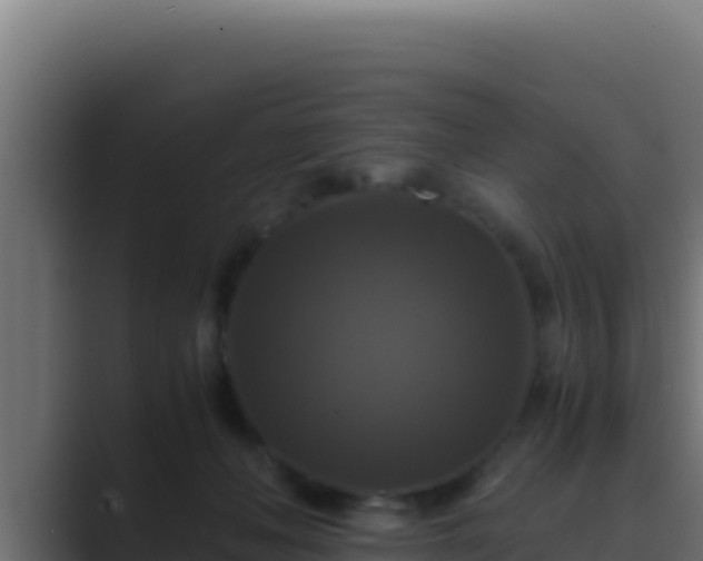 X0000089690222200706281421