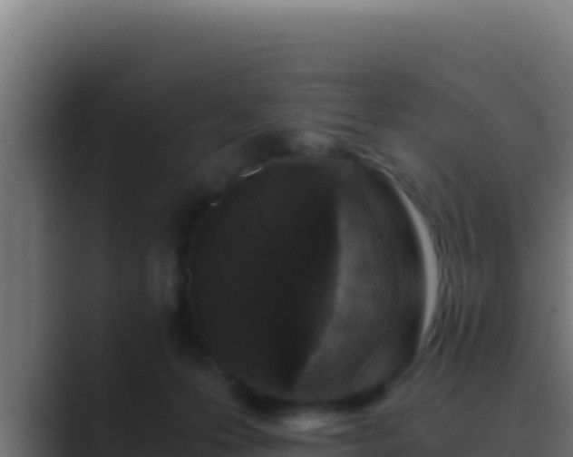 X0000089690223200706281421