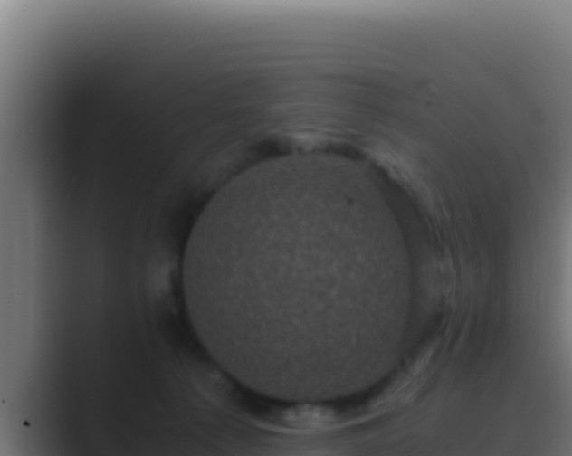 X0000089690225200706281421