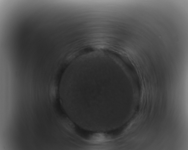 X0000089690227200706281421