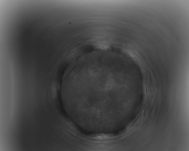 X0000089690229200706281421