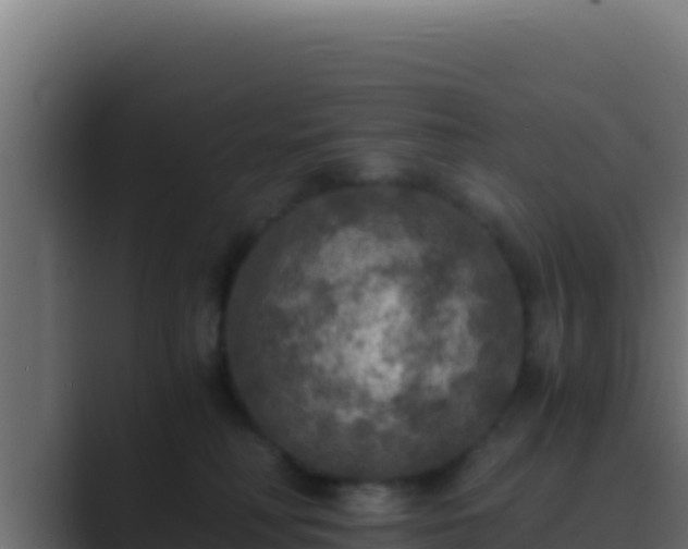 X0000089690230200706281421