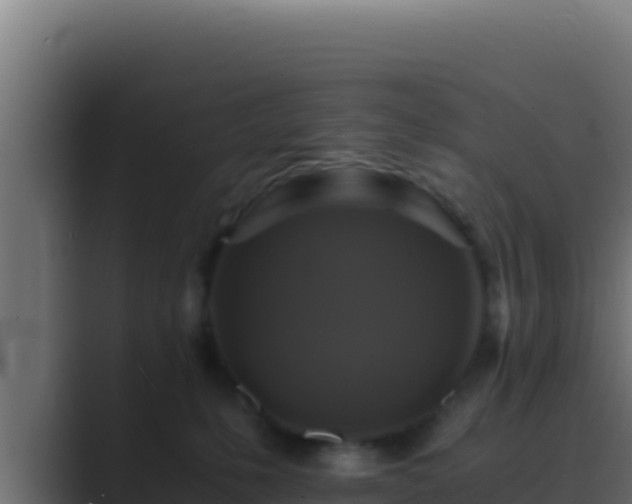 X0000089690231200706281421