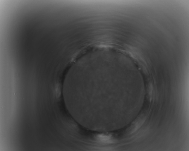 X0000089690232200706281421