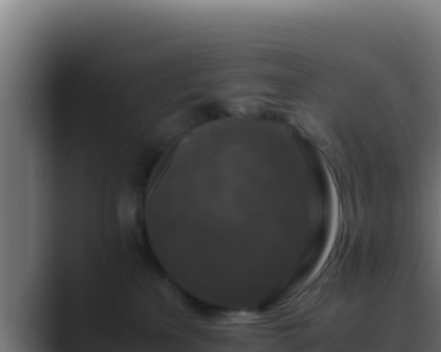 X0000089690233200706281421