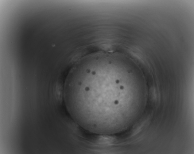 X0000089690234200706281421