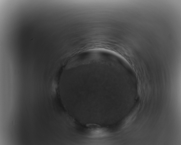 X0000089690235200706281421