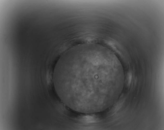 X0000089690236200706281421