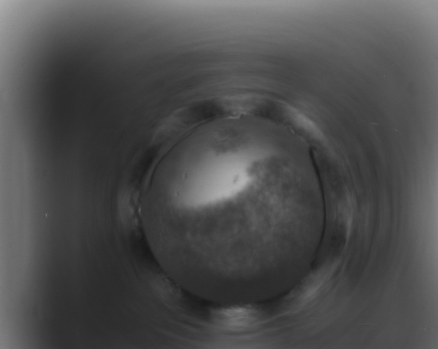 X0000089690237200706281421