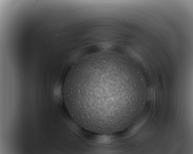 X0000089690238200706281421