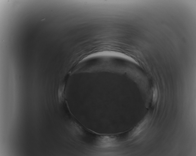 X0000089690239200706281421