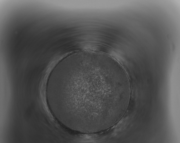 X0000089690241200706281421