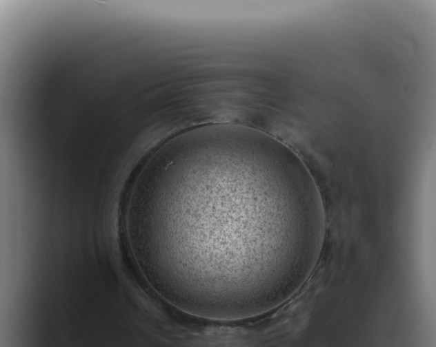 X0000089690242200706281421