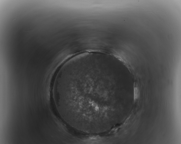 X0000089690243200706281421