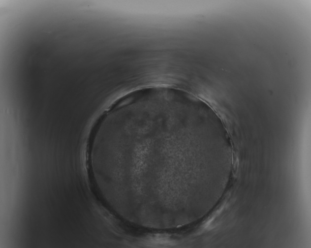 X0000089690244200706281421