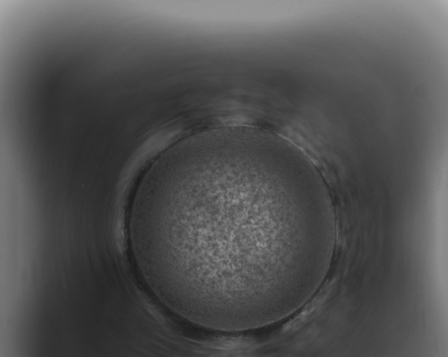 X0000089690245200706281421