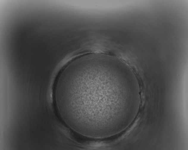 X0000089690246200706281421