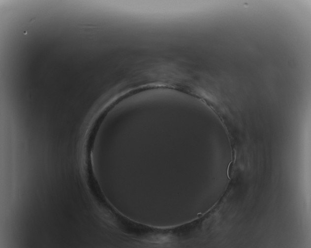 X0000089690247200706281421